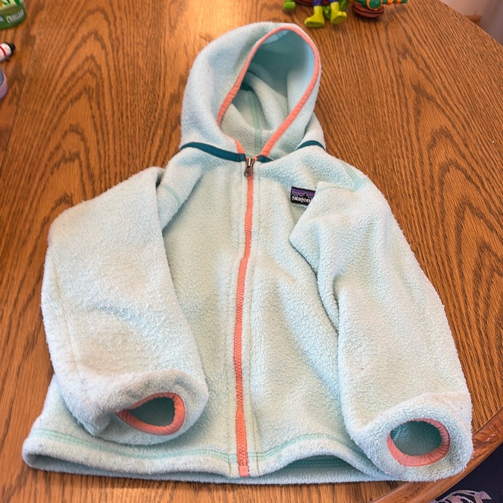 Patagonia Synchilla Hooded Full Zip